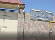 بازید سفیران ۲۸ کشور و نمایندگان سازمان‌های بین‌المللی از ندامتگاه زنان تهران برای «برداشت صحیح از اصول زندانبانی اسلامی»