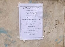 گزارشی درباره زنانی که رحم های خود را اجاره می دهند 
