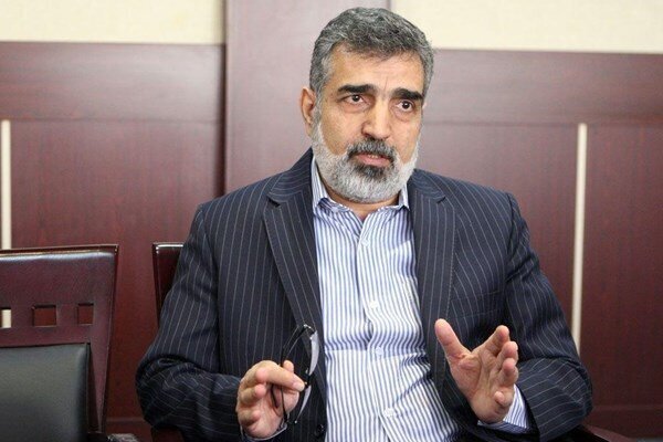 کمالوندی: عوامل حادثه نطنز و ترور شهید فخری‌زاده یکی است/ سطوح بالای کشور درباره ورود بازرسان تصمیم می گیرند