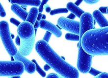 مشاهده مورد مشکوک وبا در مریوان/  دانشگاه علوم پزشکی کردستان  هشدار داد