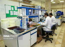 بهبود کیفیت فعالیت‌ دانشگاه‌ها با حضور نیروهای جوان در حوزه مدیریت علمی