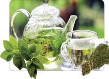 فواید بی‌نظیر گیاه پونه کوهی حریف را بشناسید