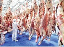 قیمت هر کیلو گوساله ۲۰۰ هزار تومان شد/ مقدسی: بالاتر از این قیمت، گوشت نخرید