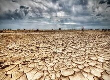 تشکیل کارگروه بین ایران و افغانستان برای احیای تالاب هامون
