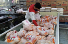 مدیرعامل اتحادیه مرغداران گوشتی : مرغداران با احتساب نرخ‌های فعلی بابت هر کیلو مرغ ۷۰ تا ۱۰۰ هزار تومان زیان می‌کنند