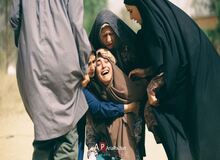 انتقاد روزنامه اصولگرا از بی توجهی سازمان تبلیغات به"ویلایی ها"/ سالن ها را به "نهنگ عنبر"و"گشت"دادید