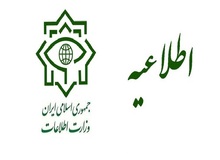 شناسایی و دستگیری برخی از عناصر و اغتشاشگران معاند و محرکین ناآرامی های اخیر