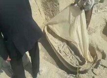  فیلم/ پوسیدن جسدهای باستانی در ۱۲ ماه به دلیل  نگهداری نامناسب در رامهرمز!