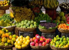 دیابتی ها این ۷ میوه را مصرف کنند+ اسامی