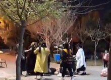 دخترانی که یک زن محجبه و همراهانش را کتک زده بودند، بازداشت شدند
