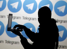 مخالفت آیت‌ا... فاضل لنکرانی با فیلترینگ تلگرام/ فیلتر تلگرام را کنار بگذارید

