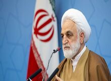 محسنی اژه‌ای: دادستان‌ها پرونده‌های کثیرالشاکی را هر چه زودتر تعیین تکلیف کنند 
