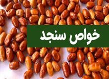 خواص بی نظیر سنجد از درمان سرماخوردگی تا جلوگیری از بالا رفتن قند تا کاهش فشار خون/ روش تهیه معجون زیبایی پوست "برگ سنجد"