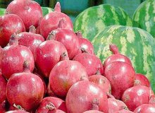 انار نسبت به سال گذشته دو برابر شد/ افزایش ۵۰ درصدی قیمت هندوانه