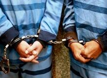 جزییات دستگیری سرشبکه‌های قاچاق سازمان یافته  ۱۰ هزار رأس دام در استان‌های فارس و هرمزگان 