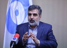 توضیح کمالوندی درباره اقدام ایران در حذف دوربین‌های آژانس