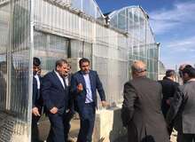 بازدید دکتر جهانگیری از مراکز کشاورزی و صنعتی رباط کریم