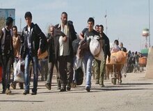 چند مهاجر افغانستانی در ایران هستند؟