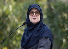 مهاجرانی: آمار کلی جان‌باختگان به دستور رئیس‌جمهور منتشر شد و اسامی هم به دستور پزشکیان منتشر خواهد شد