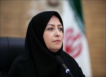 واکنش رئیس سازمان محیط‌زیست به خبر تخریب جنگل الیمالات 