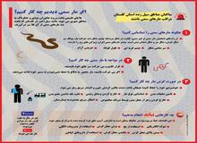هشدار هجوم مارهای سمی به مناطق سیل زده گلستان/ در صورت مشاهده مار چه کار کنیم؟