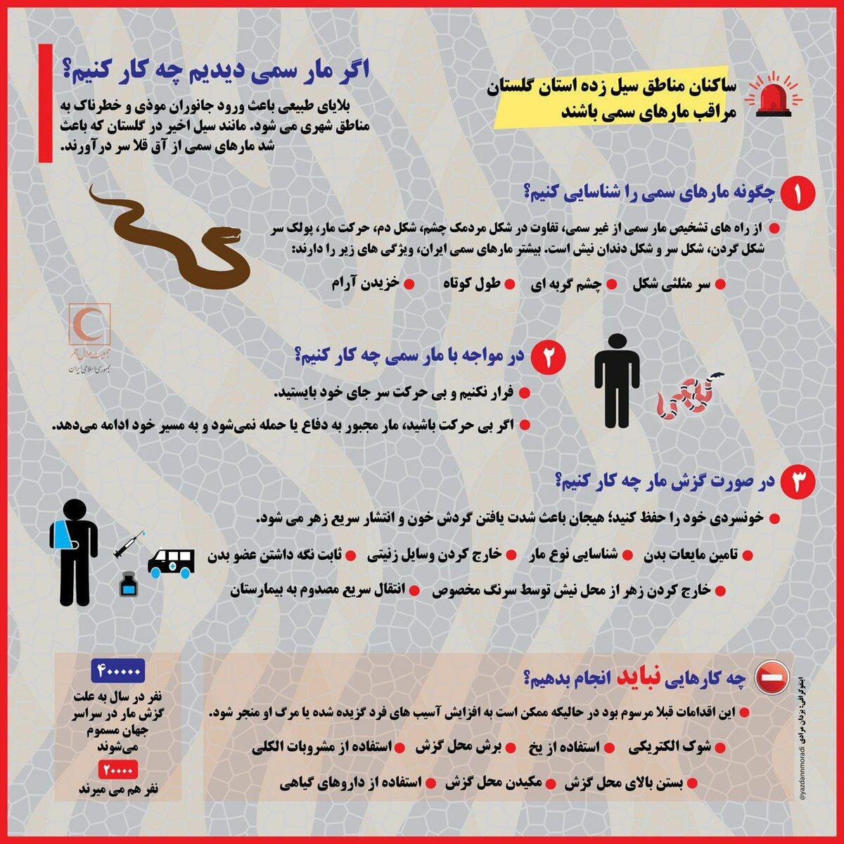 هشدار هجوم مارهای سمی به مناطق سیل زده گلستان/ در صورت مشاهده مار چه کار کنیم؟