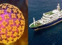 ۲۲ گونه هانتاویروس باعث بیماری انسان می‌شود