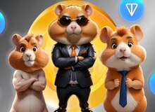 کدام استانها همستر کامبت را بیشتر جستجو کردند؟+اسامی 