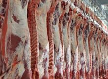 مدیرعامل شرکت پشتیبانی امور دام: توزیع‌کنندگان عمده گوشت سهمیه دولتی می‌گرفتند؛ آزاد می‌فروختند