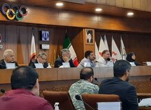 قهر معاون وزیر در مجمع کشتی؛ پولادگر: نیش زدن تخصص آقای دبیر است