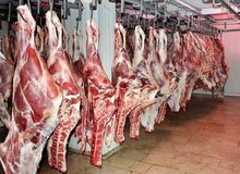 نائب رییس اتحادیه تهیه و توزیع گوشت: گوشت گوسفند گران می شود/  کاهش قدرت خرید مردم به ضرر قصابان است 