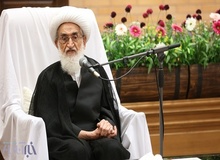 آیت‌الله نوری‌همدانی: من خودم به خرید می‌روم/ هیچ اشرافی بر قیمت‌ها نیست/ زجر مردم را خودم لمس می‌کنم
