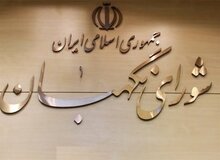 شورای نگهبان مکلف به فراهم کردن امکان ثبت شکایت الکترونیک نامزدها شد
