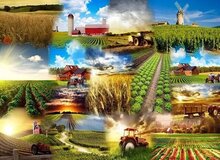 صادرات تمام محصولات غذایی و کشاورزی ممنوع شد