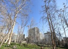 باغ ۲۰۰ ساله در معرض نابودی/ شهردار منطقه یک: به ما گفتند باغ معارض دارد