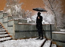بارش برف و باران در تهران/ کاهش دما تا ۱۱ درجه