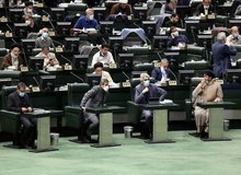 اگر مجلس به جای تصویب لایحه حمایت از حقوق زنان، مشغول رسیدگی به مجارات نگهداری سگ و گربه نمی شد، کار به اینجا نمی کشید