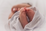 شناسایی ژنی که سرعت رشد را افزایش می‌دهد، اما بهایش افزایش خطر سرطان است
