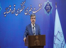 سخنگوی قوه قضاییه: تعدادی از مدیران در پرونده تخلف واردات چای در بازداشت هستند