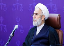 دادستان کل کشور: اظهارنظر درباره «حجاب» از شئون فقهاست/ افراد جاهل اظهارنظر نکنند
