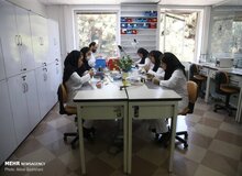 جزئیات کلاهبرداری با جعل عنوان دانشجوی علوم پزشکی شهید بهشتی