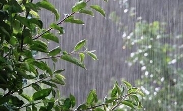 پیش‌بینی بارش بالای ۷۰درصدی بیشتر از نرمال در پاییز/آماده‌باش نیروهای امدادی