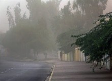 وزش باد عصرگاهی در تهران/ احتمال خیزش گرد و خاک در برخی نقاط