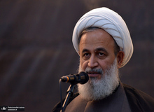 پناهیان : اگر دموکراسی با مدیریت ولی فقیه نباشد، وحشی‌ گری می‌شود