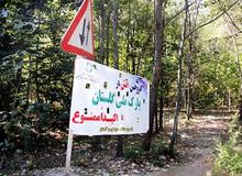 در پارک ملی گلستان چه میگذرد؟ گلستان دیگر پارک ملی ندارد؟!