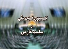 تصویب نهایی طرح دو فوریتی راهبردی برای کنترل تنگه هرمز در کمیسیون امنیت ملی