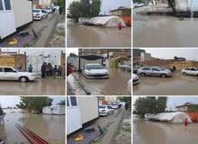 بارش شدید باران در سرپل ذهاب