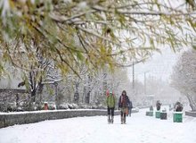 صف خرید بخاری برقی در تربت حیدریه +عکس