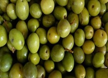 با تخصیص ارز 4200 تومانی به واردات زیتون تولید ملی این محصول ضربه خورد 