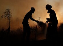 هشدار افزایش دما و وزش باد در شمال؛ احتمال وقوع آتش‌سوزی در جنگل‌ها